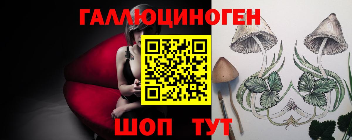 Галлюциногенные грибы мицелий Котовск