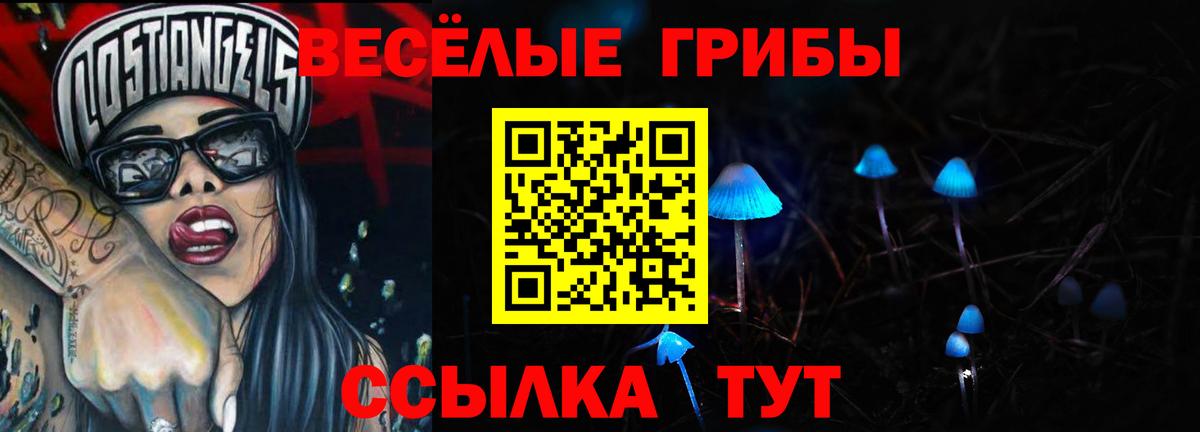 Котовск  закладка  Вход с VPN  Галлюциногенные грибы мицелий 